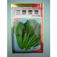 送料無料　[葉物]　三景雪菜　20ml　(株)サカタのタネ