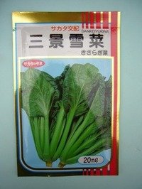 送料無料　[葉物]　三景雪菜　20ml　(株)サカタのタネ