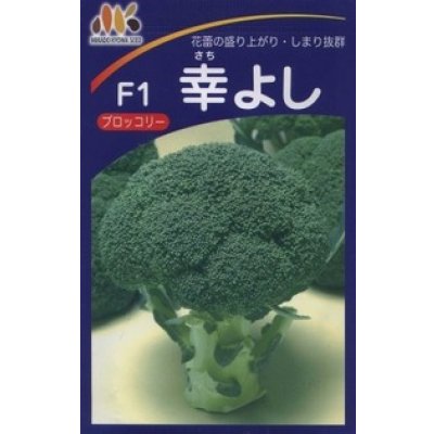 画像1: [ブロッコリー] 幸よし 1.2ml 貴種(コートしてません) ヴィルモランみかど（株）
