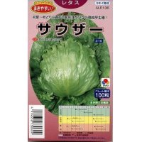 [レタス]　サウザー　ペレット100粒　　タキイ種苗（株）