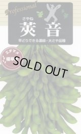 送料無料　[枝豆]　莢音　70ml(およそ150粒)　雪印種苗(株)