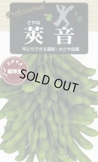 送料無料　[枝豆]　莢音　70ml(およそ150粒)　雪印種苗(株)