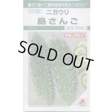 送料無料　[ゴーヤ]　島さんご　7ml　タキイ種苗(株)　GF