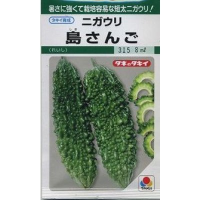 画像1: 送料無料　[ゴーヤ]　島さんご　7ml　タキイ種苗(株)　GF