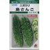 画像1: [ニガウリ]　島さんご　7ｍｌ　タキイ種苗（株）　GF (1)