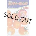 [トマト/中玉トマト]　シンディーオレンジ　1000粒　(株)サカタのタネ