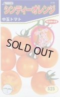 [トマト/中玉トマト]　シンディーオレンジ　1000粒　(株)サカタのタネ