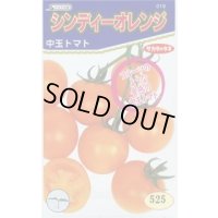 [トマト/中玉トマト]　シンディーオレンジ　1000粒　(株)サカタのタネ