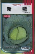 送料無料　[キャベツ]　新藍　2000粒　（株）サカタのタネ
