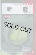 送料無料　[キャベツ]　新藍　2000粒　（株）サカタのタネ