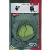 送料無料　[キャベツ]　新藍　2000粒　（株）サカタのタネ