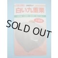 送料無料　[かぼちゃ]　白い九重栗　9粒　カネコ種苗（株）