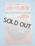送料無料　[かぼちゃ]　白い九重栗　9粒　カネコ種苗（株）