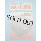 送料無料　[かぼちゃ]　白い九重栗　9粒　カネコ交配