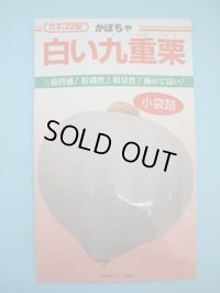 送料無料　[かぼちゃ]　白い九重栗　9粒　カネコ交配