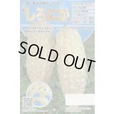 送料無料　[ゴーヤ]　しろにがくん　7粒　トキタ種苗(株)