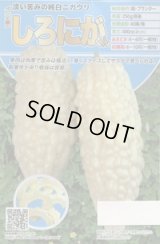 送料無料　[ゴーヤ]　しろにがくん　7粒　トキタ種苗(株)