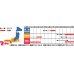 画像3: [葉物]　はなな　早陽一号　20ml　サカタ交配　 (3)