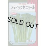 送料無料　[ブロッコリー]　スティックセニョール　10ml　(株)サカタのタネ