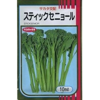 画像1: [ブロッコリー]　スティックセニョール　10ｍｌ　サカタ交配