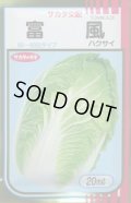 送料無料　[白菜]　富風　20ml　（株）サカタのタネ