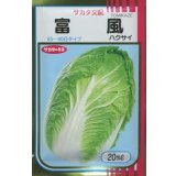 送料無料　[白菜]　富風　20ml　（株）サカタのタネ