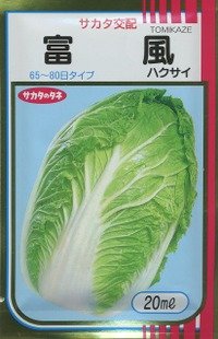 送料無料　[白菜]　富風　20ml　（株）サカタのタネ