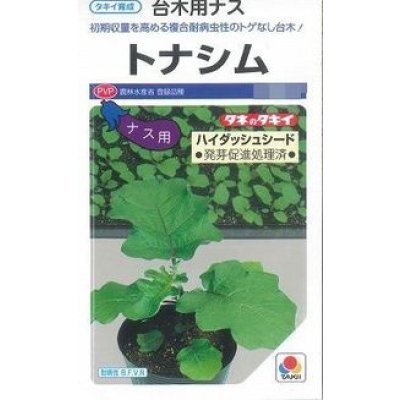 画像1: 送料無料　[台木/ナス用]　トナシム　1000粒　タキイ種苗(株)