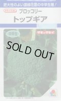 送料無料　[ブロッコリー]　トップギア　1.1ml　貴種(コートしてません)　タキイ種苗(株)　DF