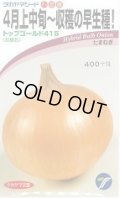 送料無料　[たまねぎ]　トップゴールド415　20ml　(株)タカヤマシード