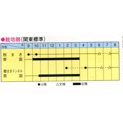 画像2: [ねぎ]　東京冬黒一本太　コート５千粒　トキタ種苗（株）