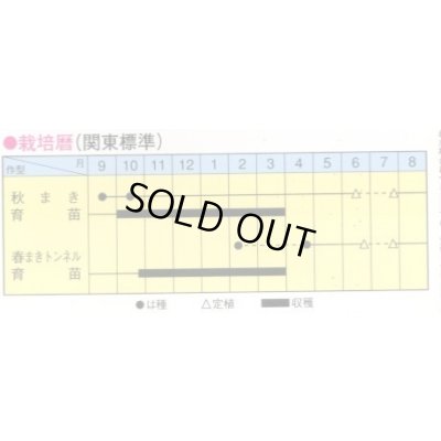 画像2: [ねぎ]　東京冬黒一本太　ペレット種子5千粒　トキタ種苗(株)