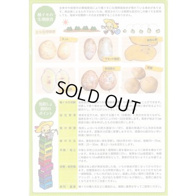 画像5: [いも類/じゃがいも]　とうや