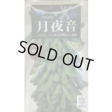 送料無料　[枝豆]　月夜音　70ml(およそ160粒)　雪印種苗(株)
