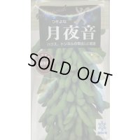 送料無料　[枝豆]　月夜音　70ml(およそ160粒)　雪印種苗(株)