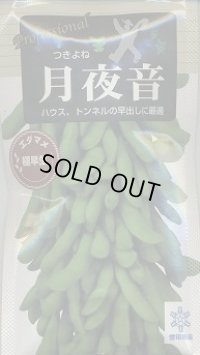 送料無料　[枝豆]　月夜音　70ml(およそ160粒)　雪印種苗(株)