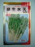 送料無料　[葉物]　みず菜　早生水天　20ml　(株)サカタのタネ