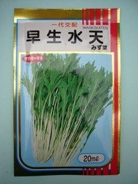 [葉物]　みず菜 早生水天　20ｍｌ　サカタのタネ（株）