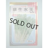 みず菜 早生水天 20ml (株)サカタのタネ