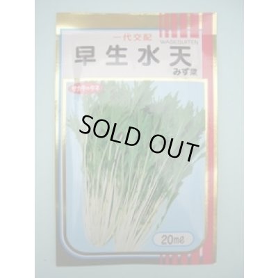 画像1: みず菜 早生水天 20ml (株)サカタのタネ