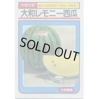 送料無料　[スイカ]　大玉スイカ　大和レモニー西瓜　6粒　大和農園
