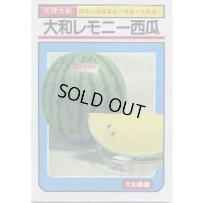 画像1: 送料無料　[スイカ]　大玉スイカ　大和レモニー西瓜　6粒　大和農園