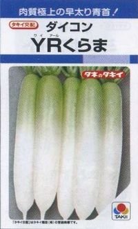 [大根]　ＹＲくらま　8ml　タキイ種苗(株)　DF