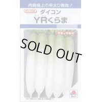 [大根]　ＹＲくらま　8ｍｌ　タキイ種苗（株）　DF　