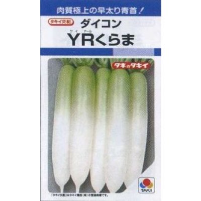 画像1: [大根]　ＹＲくらま　8ml　タキイ種苗(株)　DF