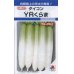 画像1: [大根]　ＹＲくらま　8ｍｌ　タキイ種苗（株）　DF　 (1)