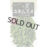 送料無料　[枝豆]　ユキムスメ　70ml(およそ140粒)　雪印種苗(株)