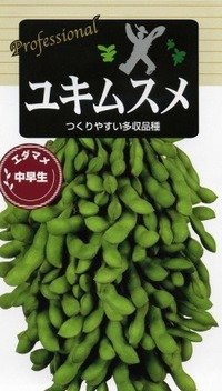 [枝豆]　ユキムスメ　70ｍｌ（およそ130粒）　雪印種苗