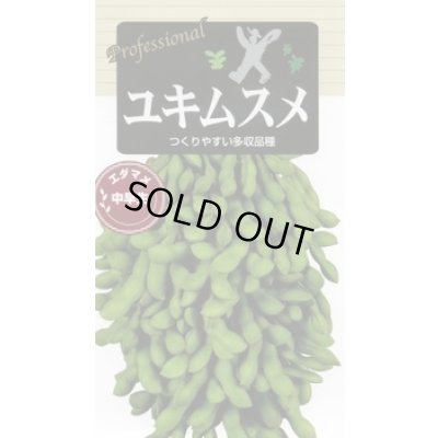 画像1: 送料無料　[枝豆]　ユキムスメ　70ml(およそ140粒)　雪印種苗(株)