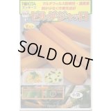 送料無料　[ズッキーニ]　ゼルダ・ジャッロ　10粒　トキタ種苗(株)